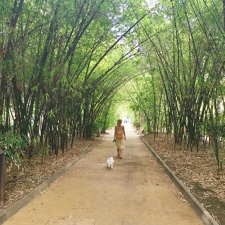 Charming & Modern Adriana شقة *